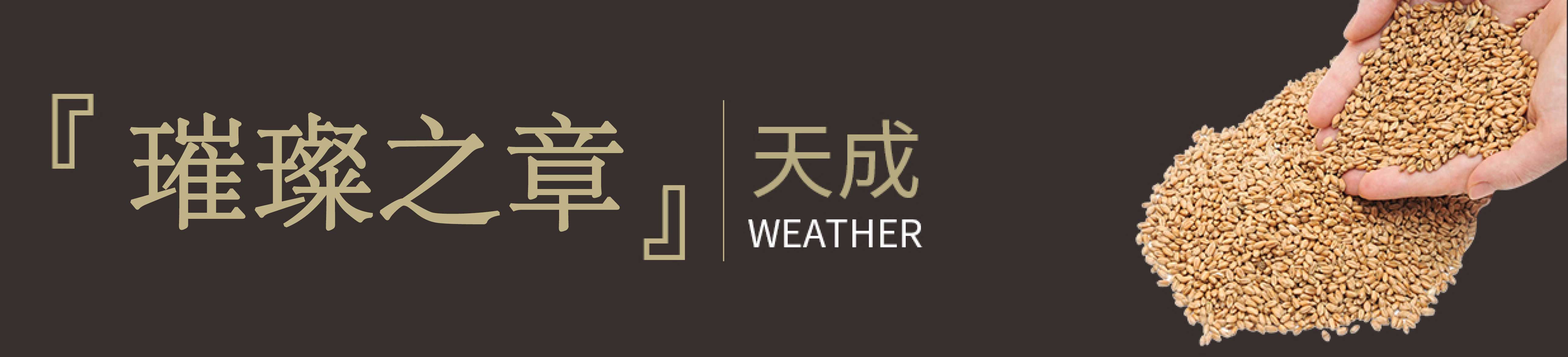 [璀璨之章]｜天成